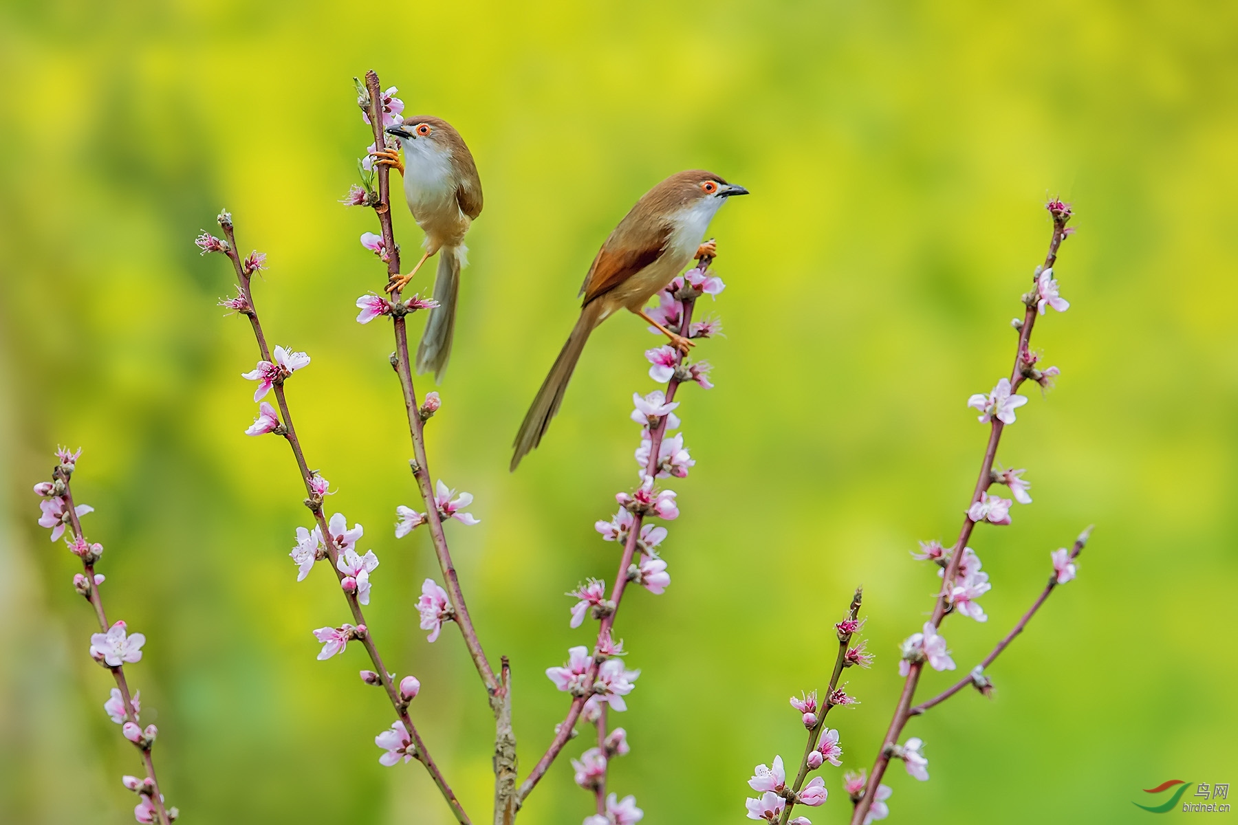 ������ȸϷӣ��