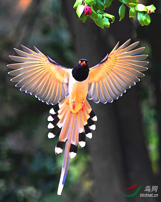 DSC_0491 (2)_����.jpg