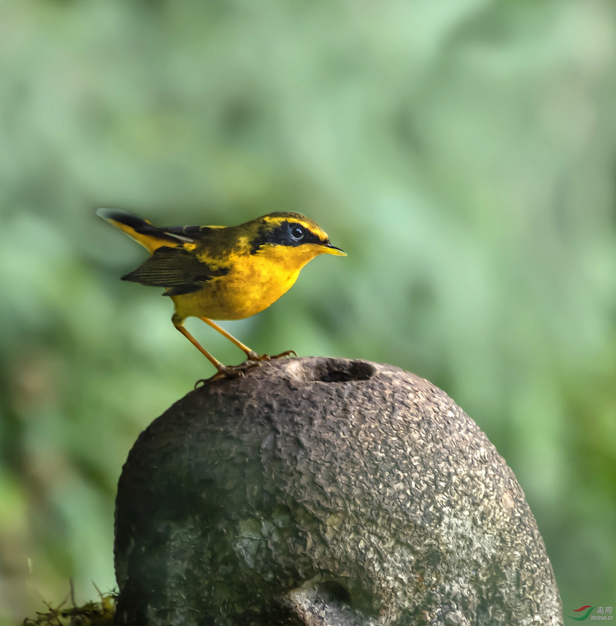 DSC_4243_����.jpg