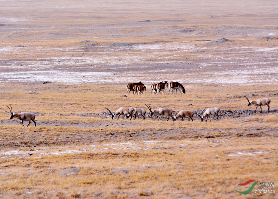 �    �й�    ����  ���ط��   18725261158  ���� (3).JPG