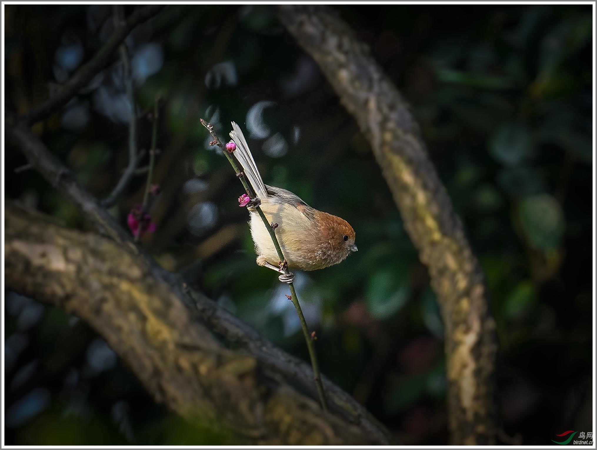 ��_XUX8674��Ϊ���ܶ���-1 2000.jpg