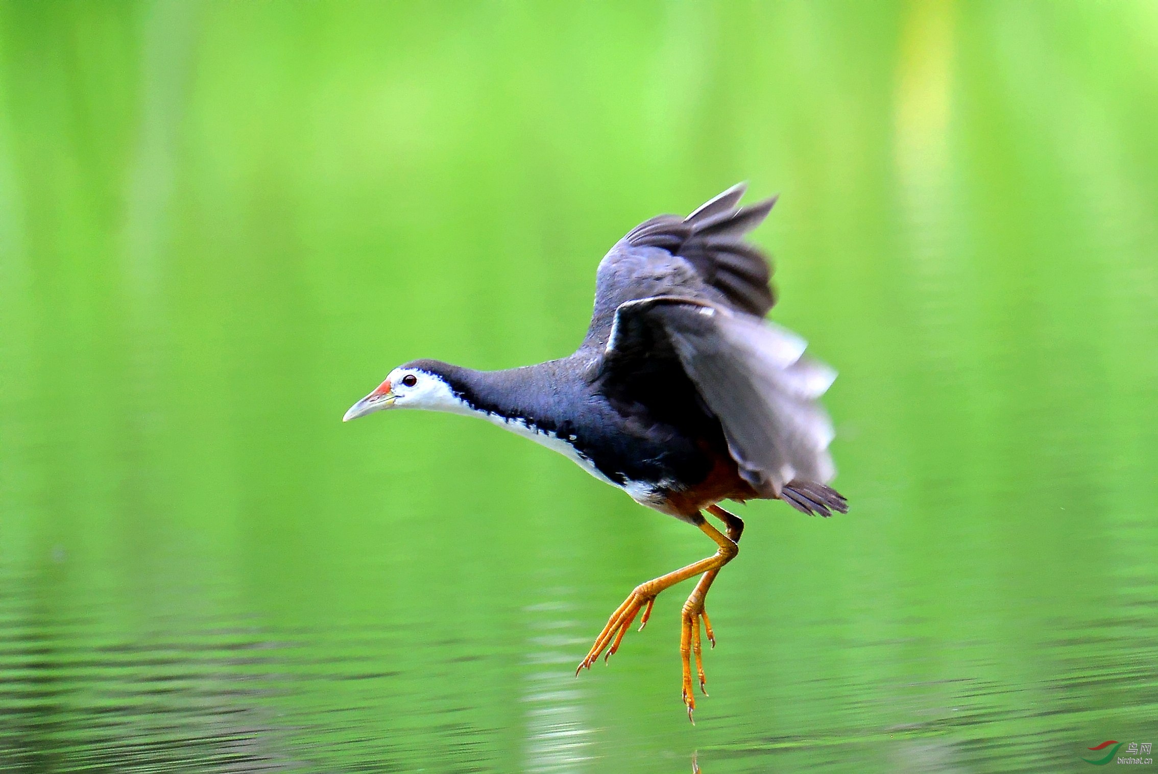 DSC_3506_conew3.jpg