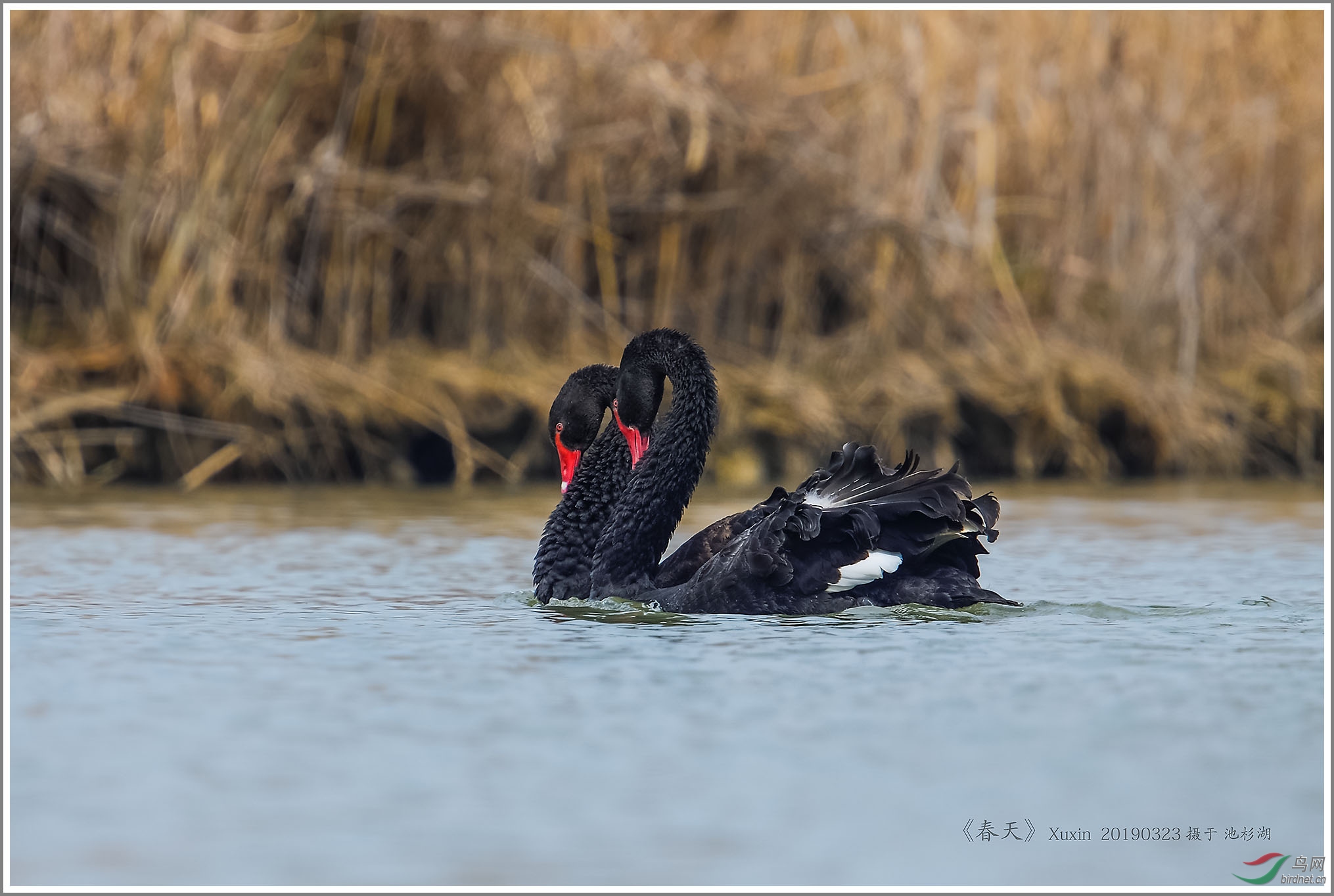 ��_XUX0869��Ϊ���ܶ���-1 2000.jpg