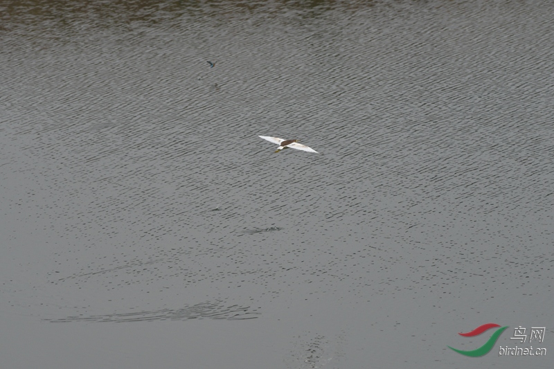 DSC_6216_����.jpg