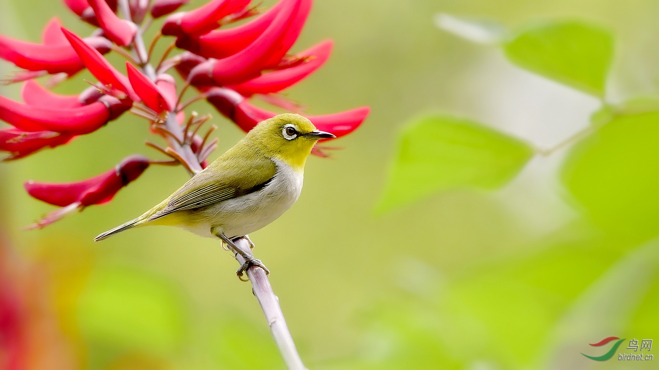 _DSC0810 - ���� - ����.JPG