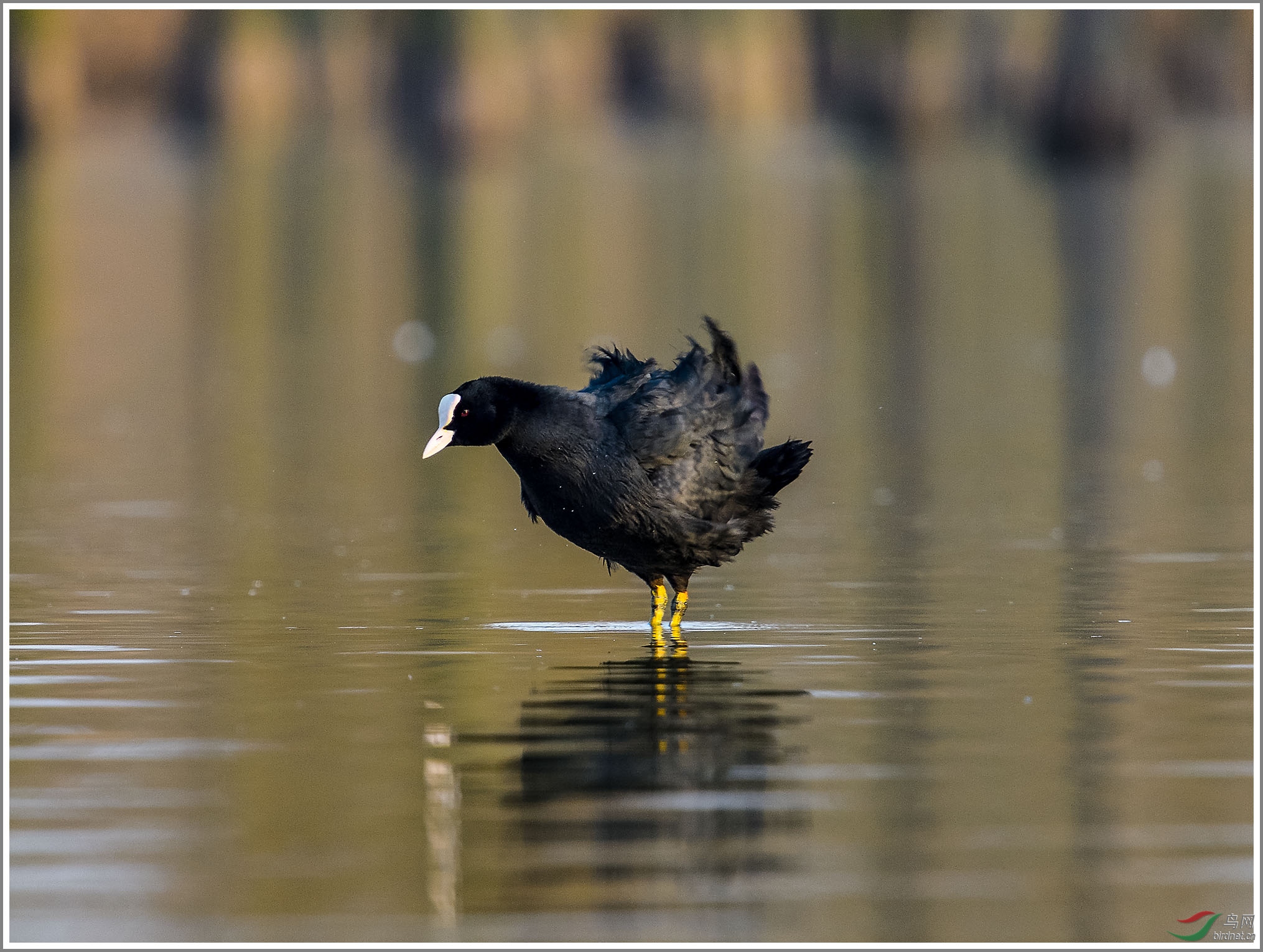 ��_XUX9569��Ϊ���ܶ���-1 2000.jpg