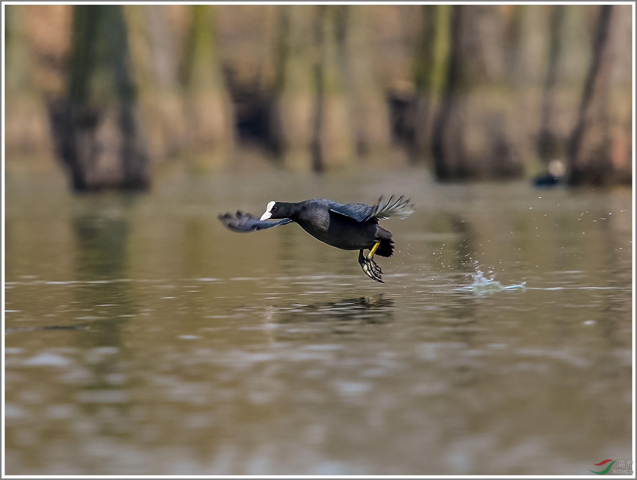 ��_XUX0325��Ϊ���ܶ���-1 2000.jpg