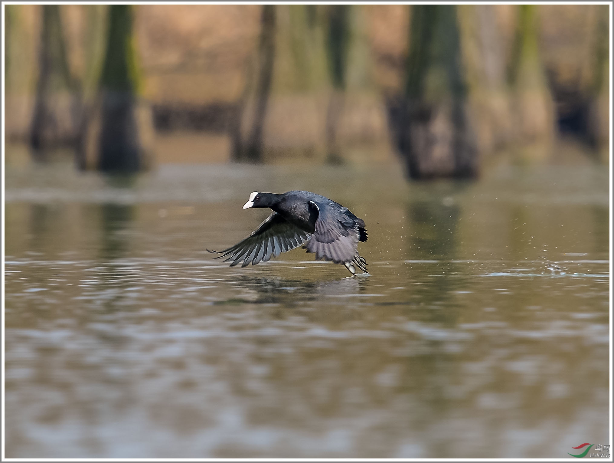 ��_XUX0326��Ϊ���ܶ���-1 2000.jpg