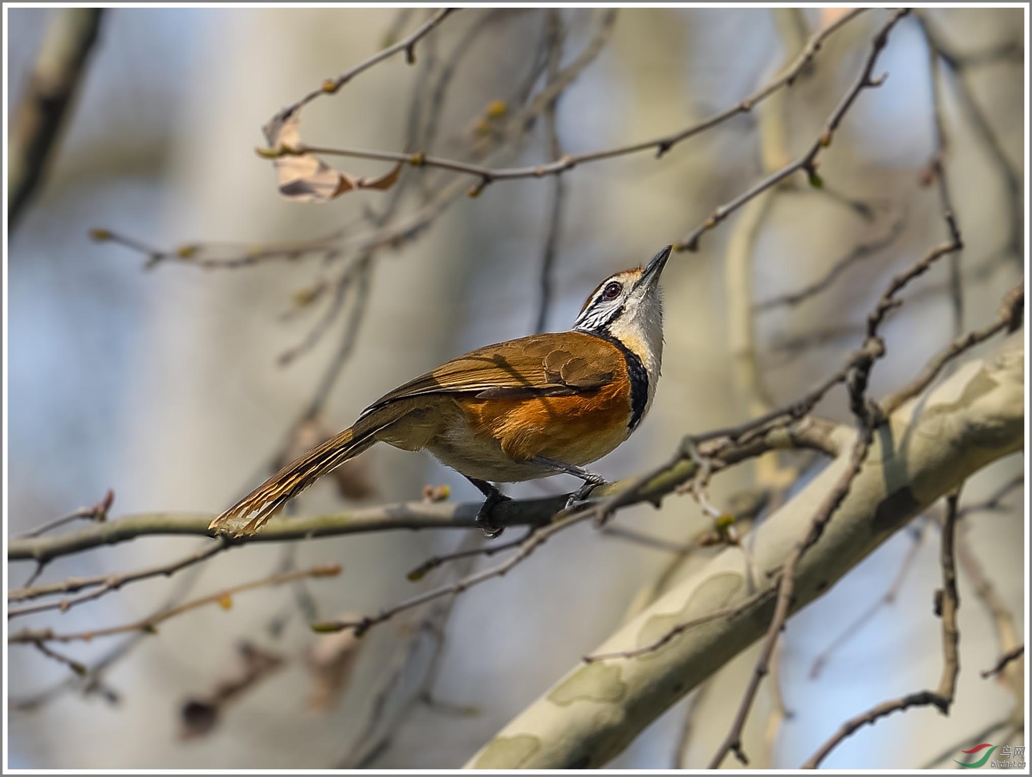 ��_XUX9235��Ϊ���ܶ���-1 2000.jpg