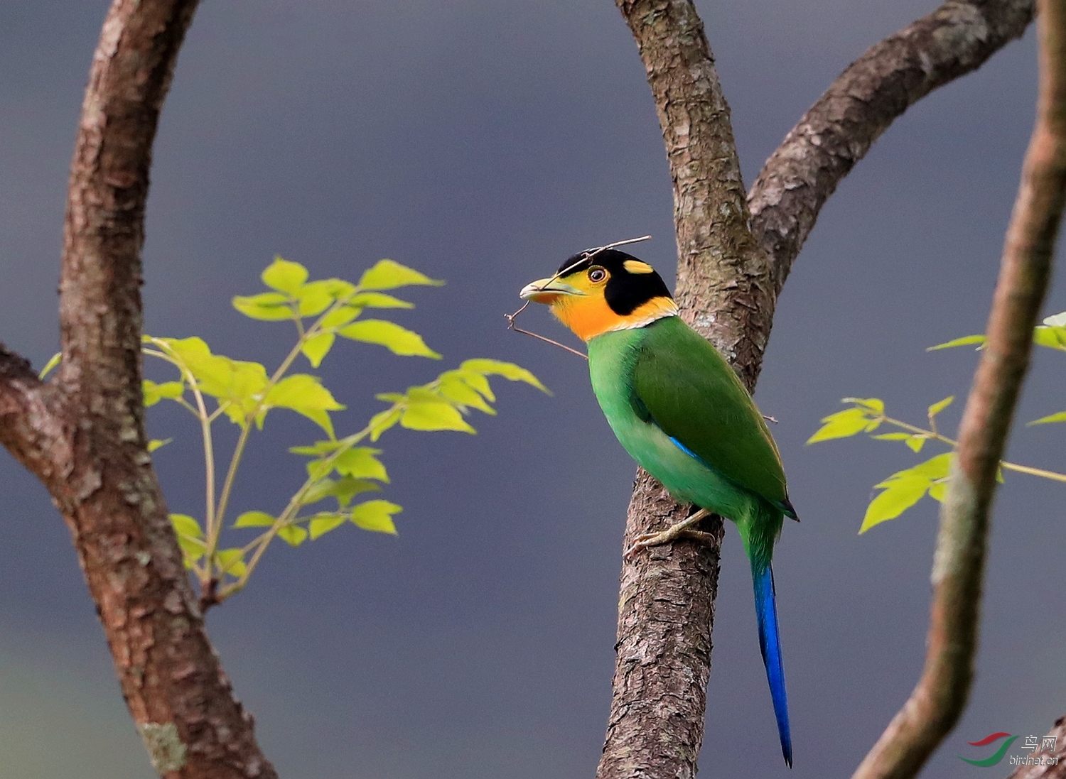 AI0I8802 - ����.JPG