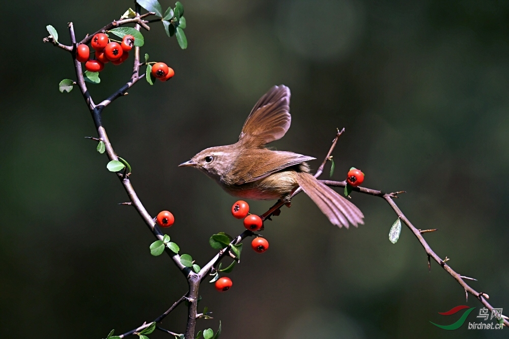 DSC_6476.jpg