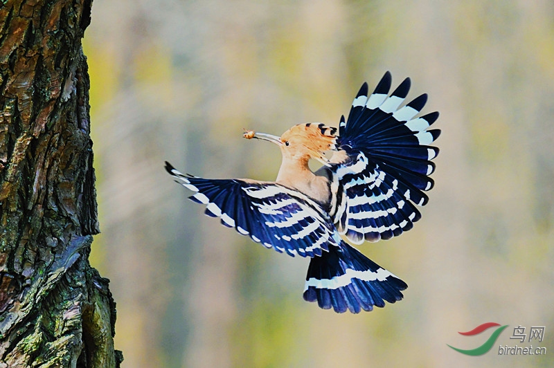 DSC_1891 (3)_����.jpg