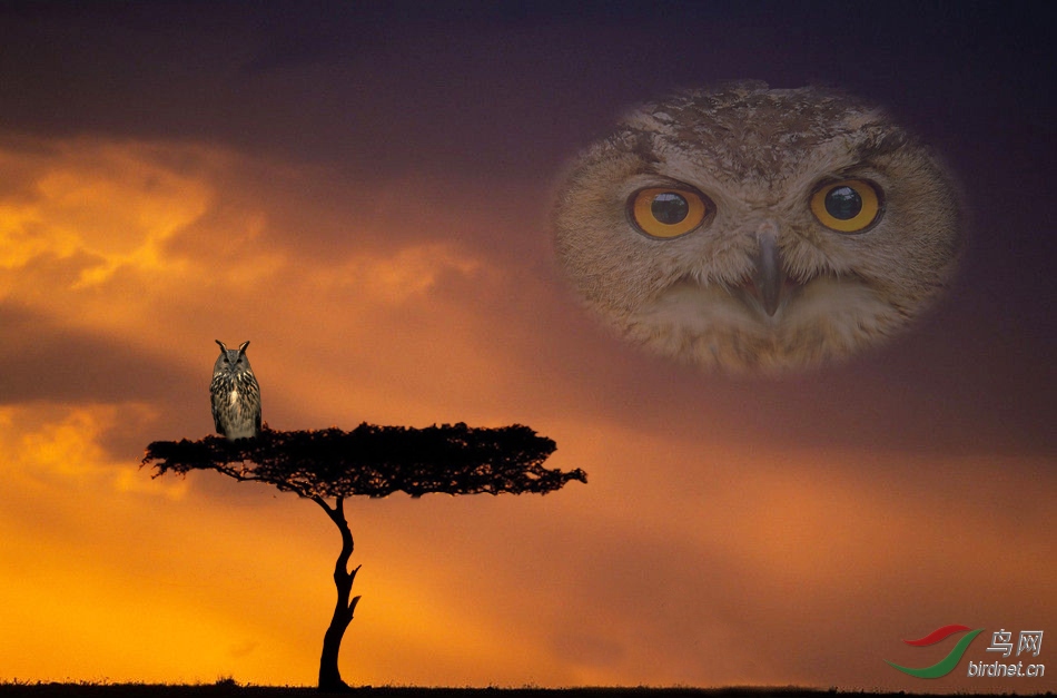 ĺɫ.jpg