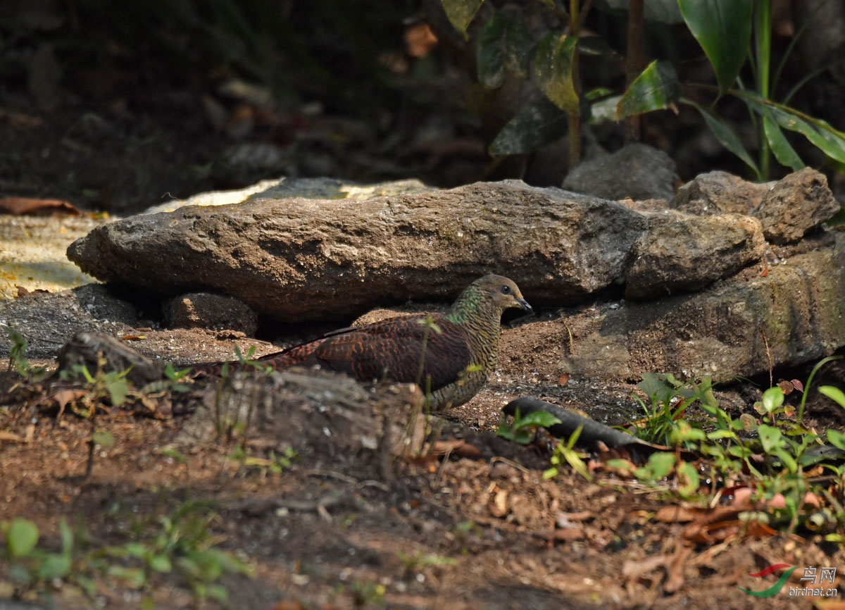 DSC_8289.jpg