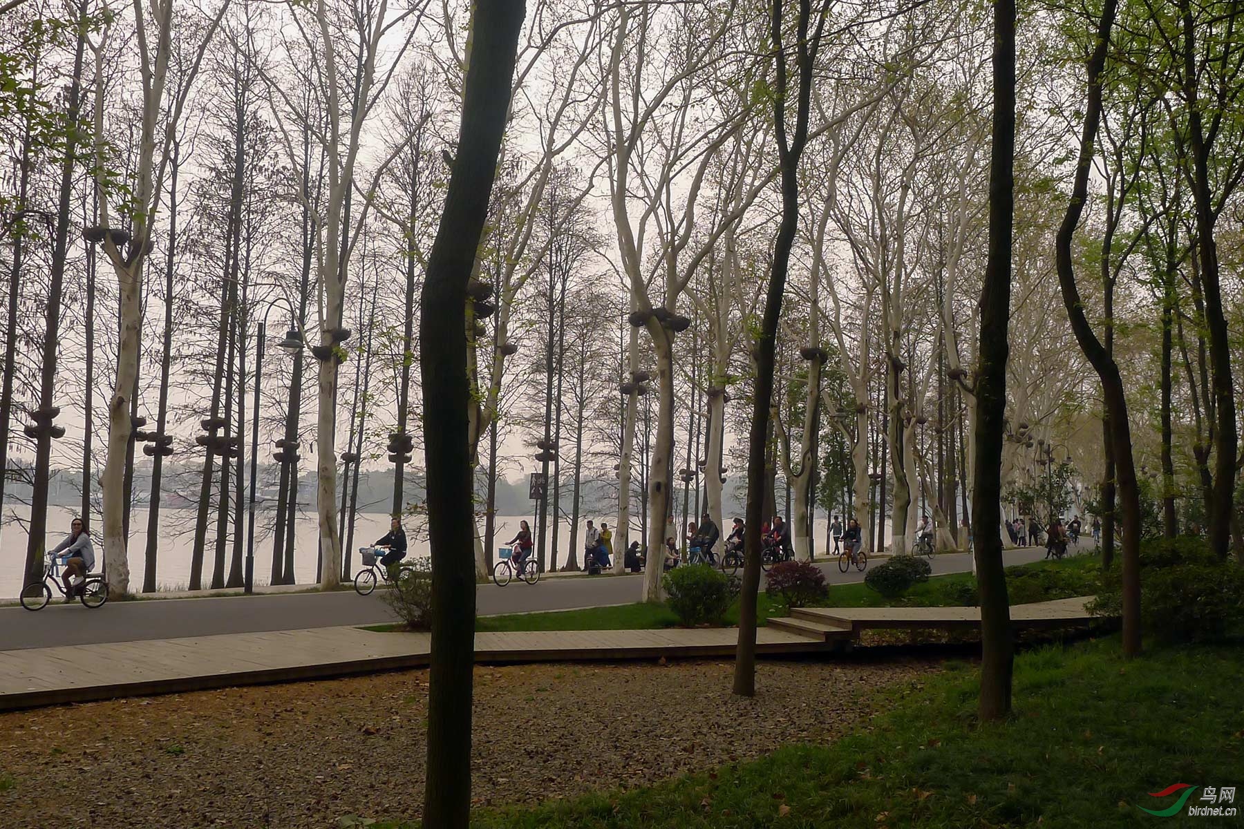 L1040299.jpg