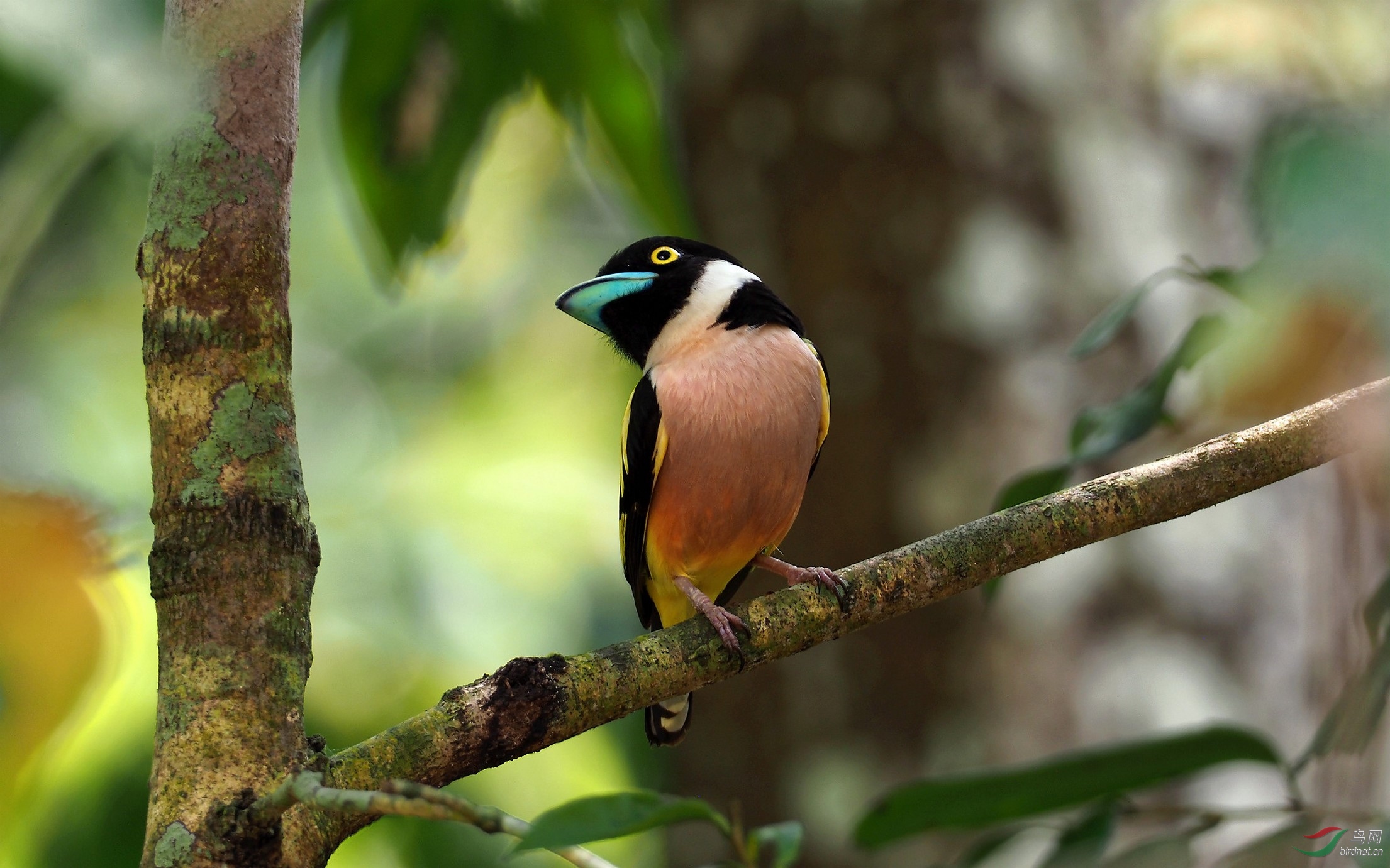 P3151300_����_DxO (����).jpg