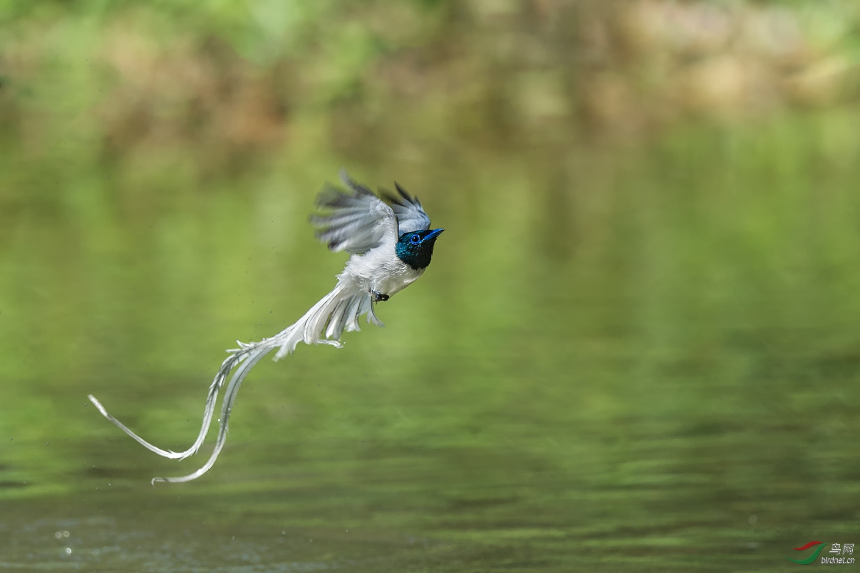 ���ٴ�5.jpg