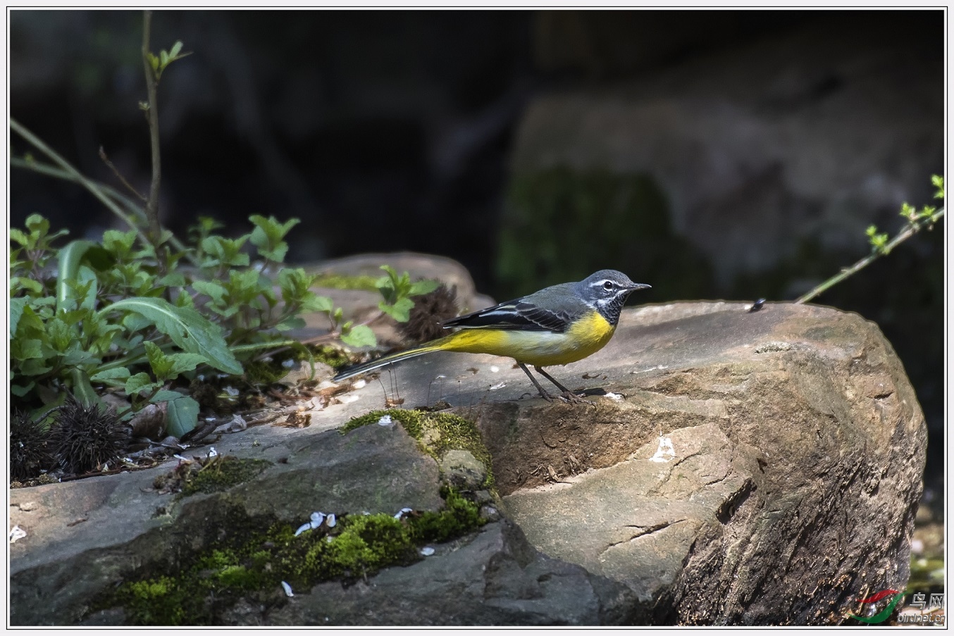 ���ϴν��㣬�����ǲ�̫���� ��