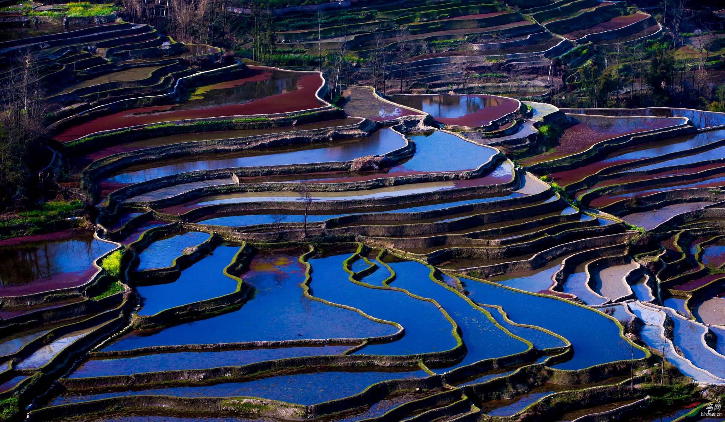 多彩梯田