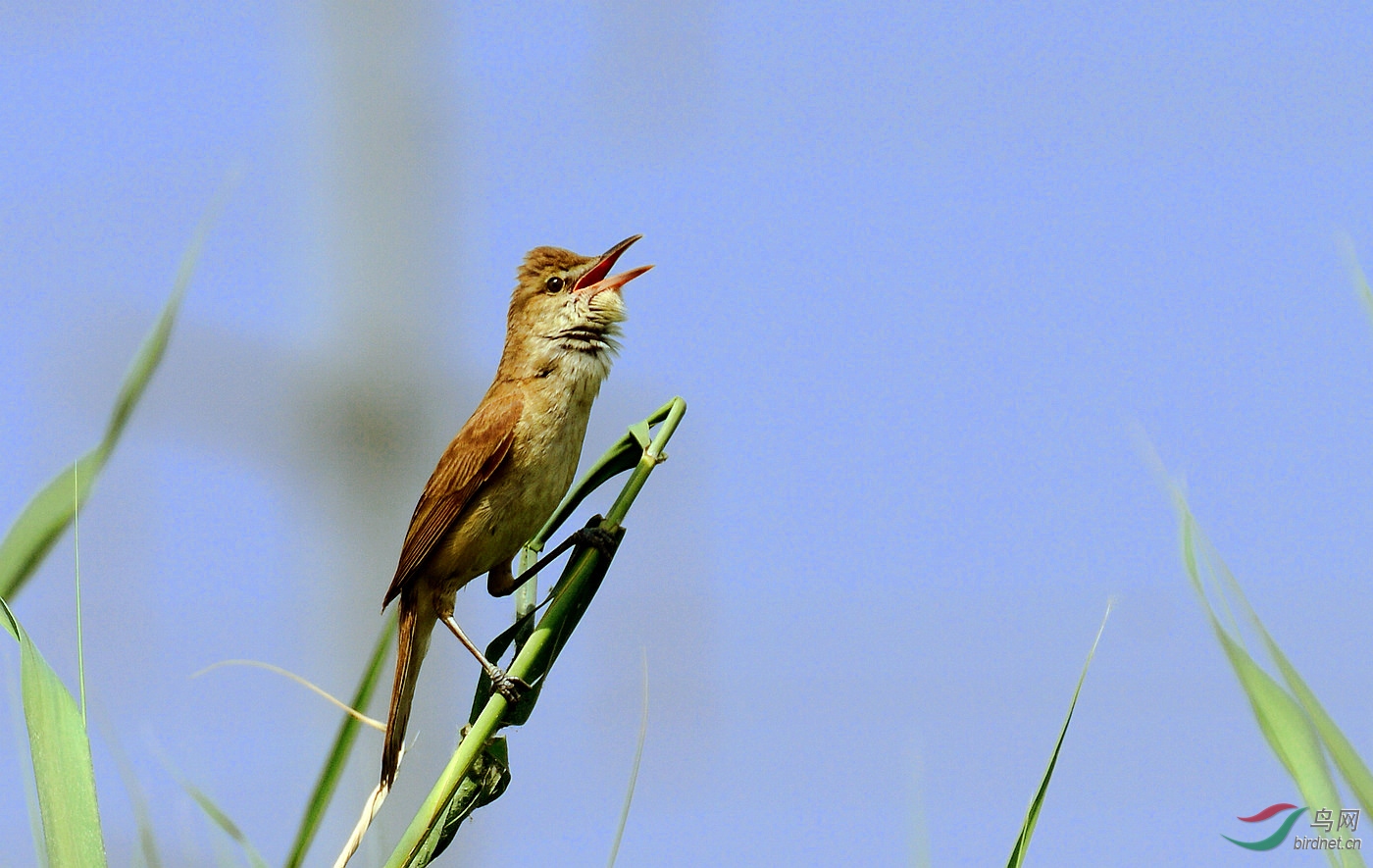DSC_5332.JPG