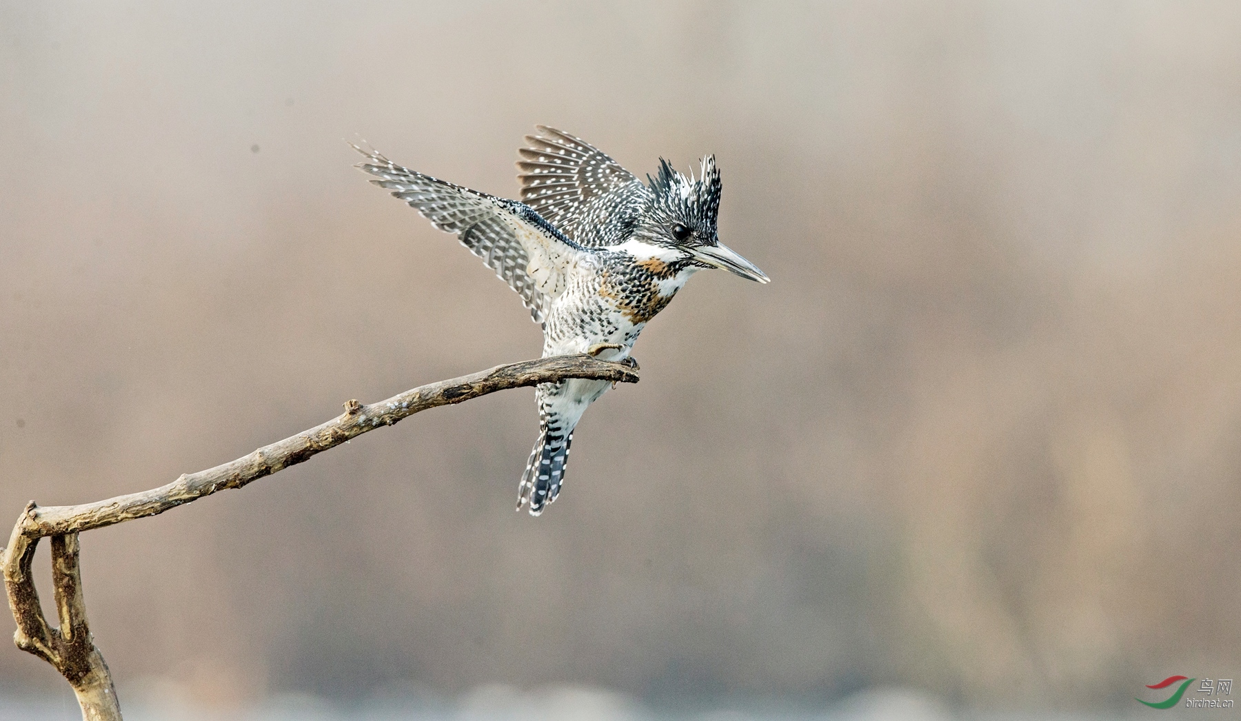 BW4Q1770 - ����.jpg