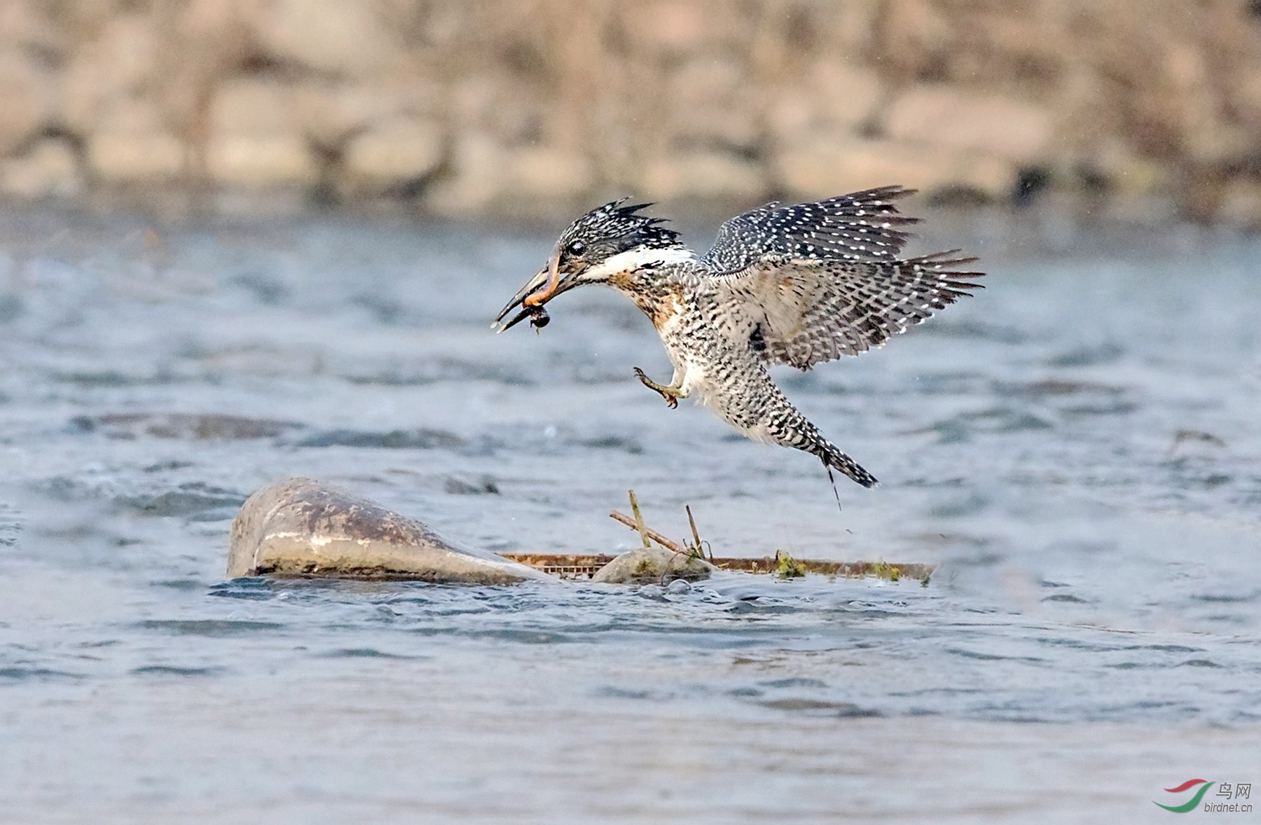 BW4Q1605 - ���� - ���� - ���� - ����.jpg