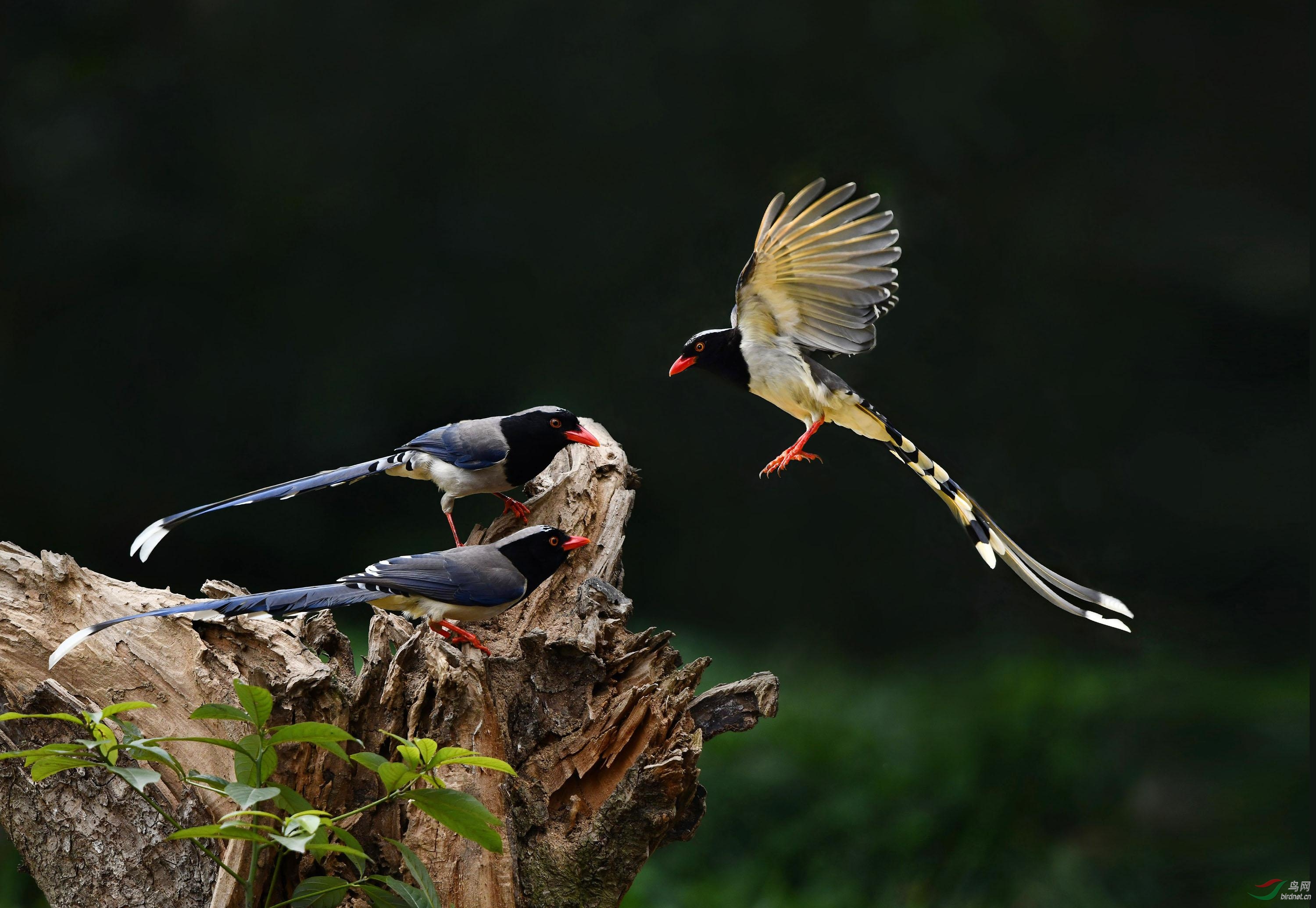 DSC_7894=.jpg