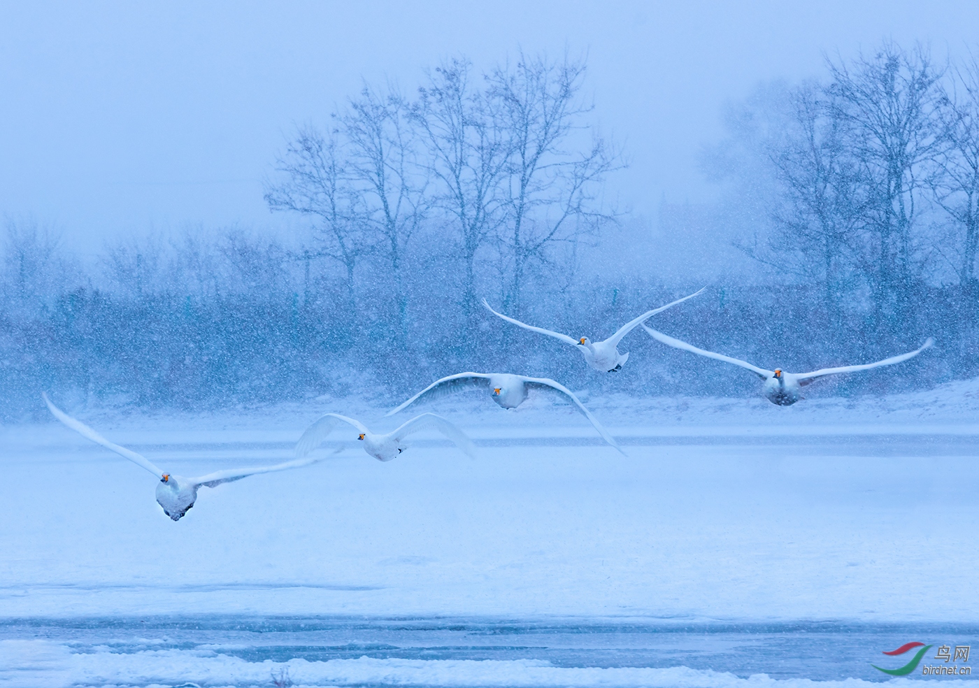 _DSC5536-W.jpg