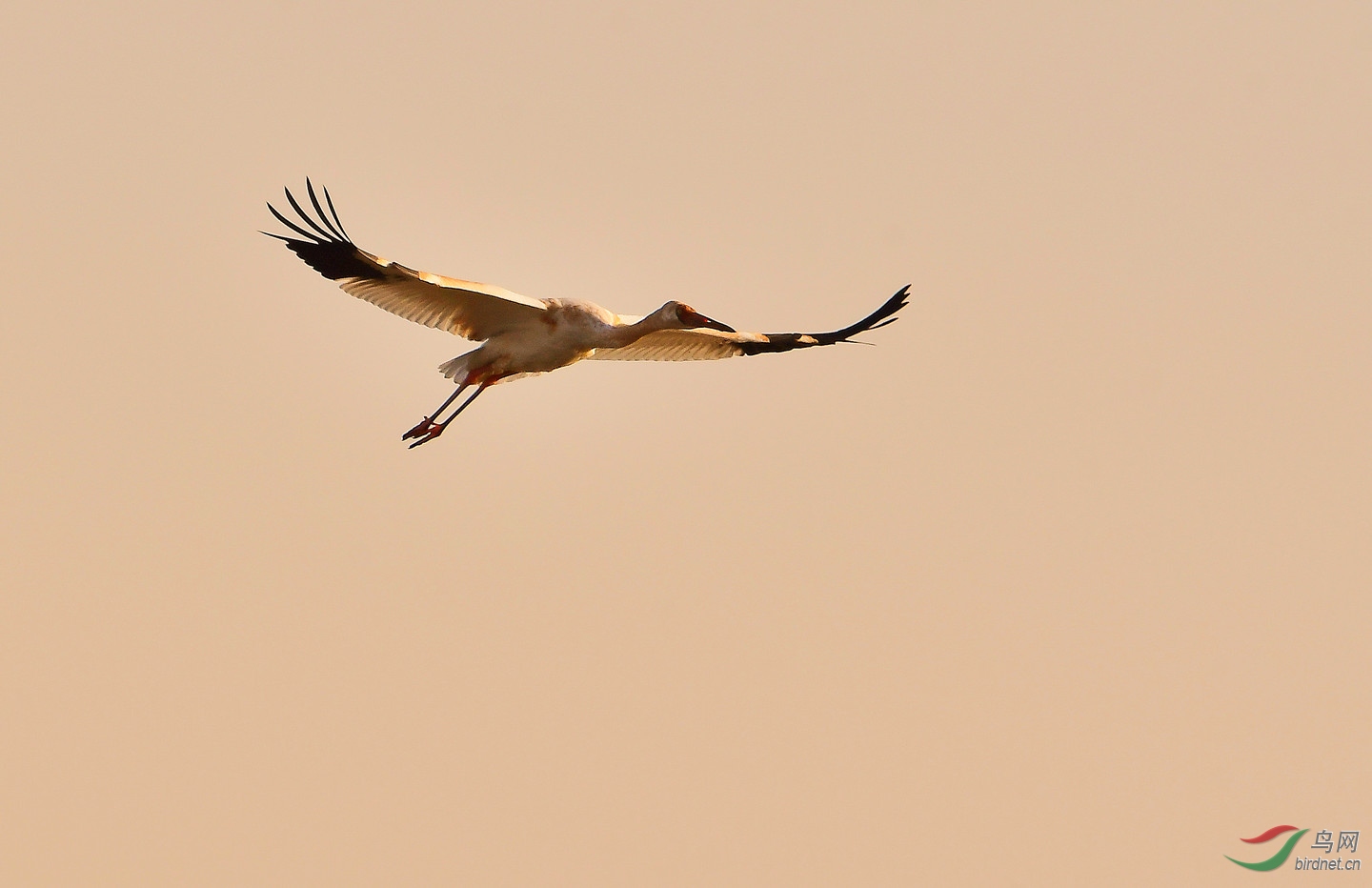 dsc_4501_副本 (2).jpg