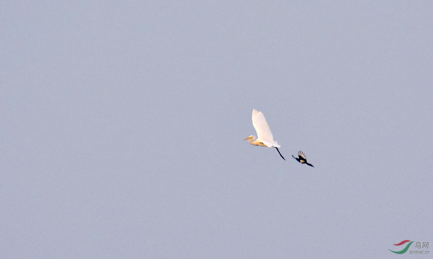 DSC_5440.JPG