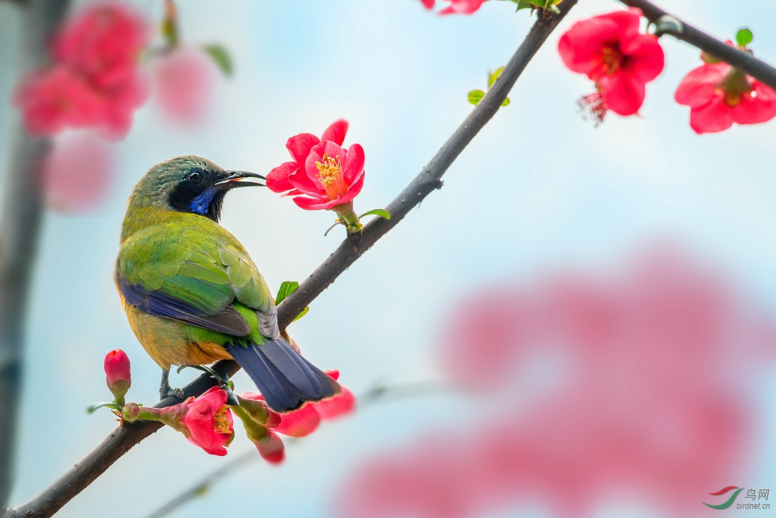 �ȸ�Ҷ�� (3)_����_����.jpg