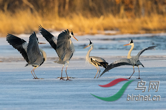 �˿�������ʪ��