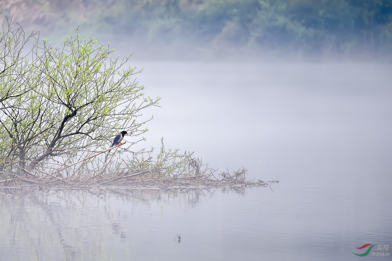 DSC_5586_1.jpg