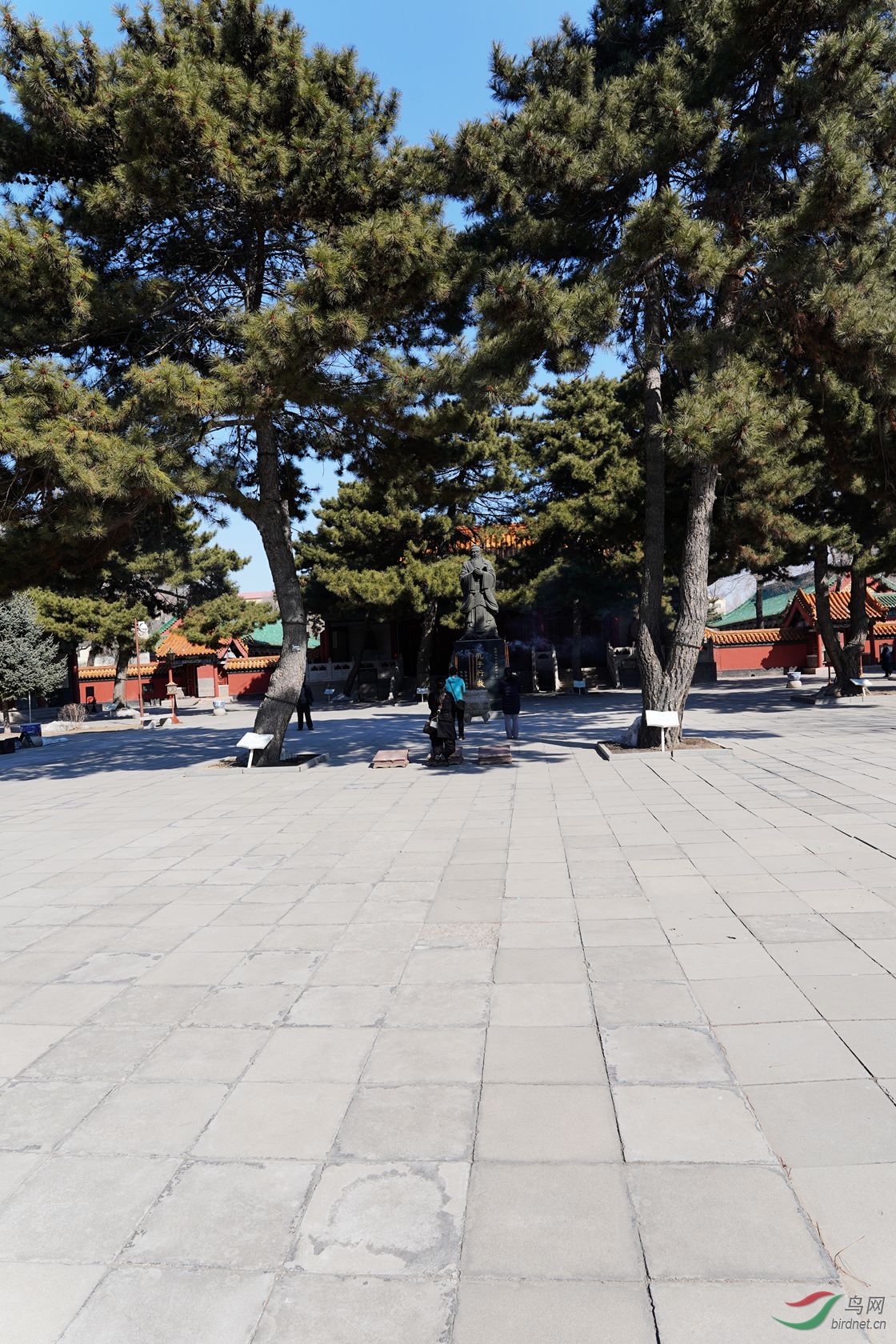 DSC00019_����.jpg