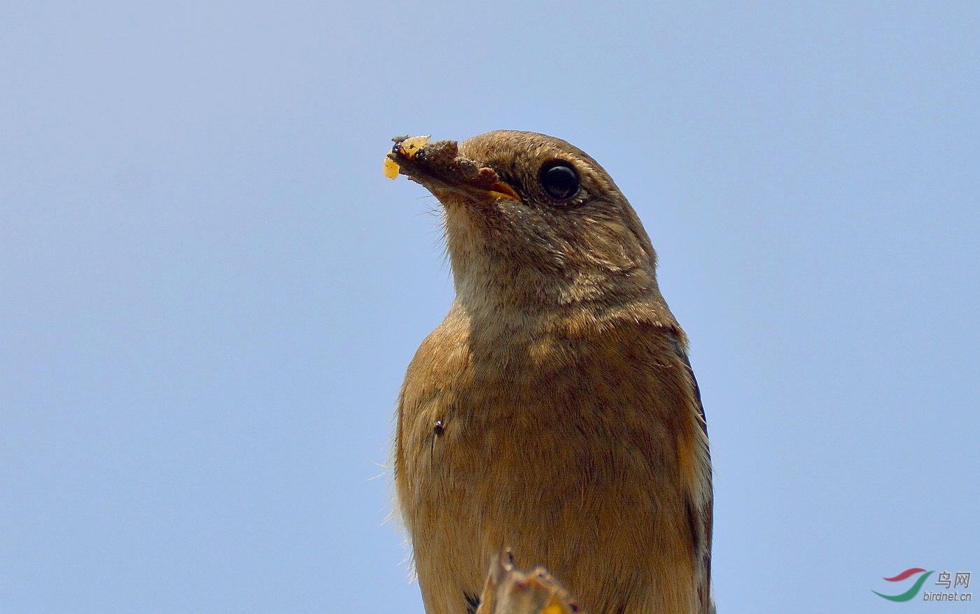 DSC_8058.JPG