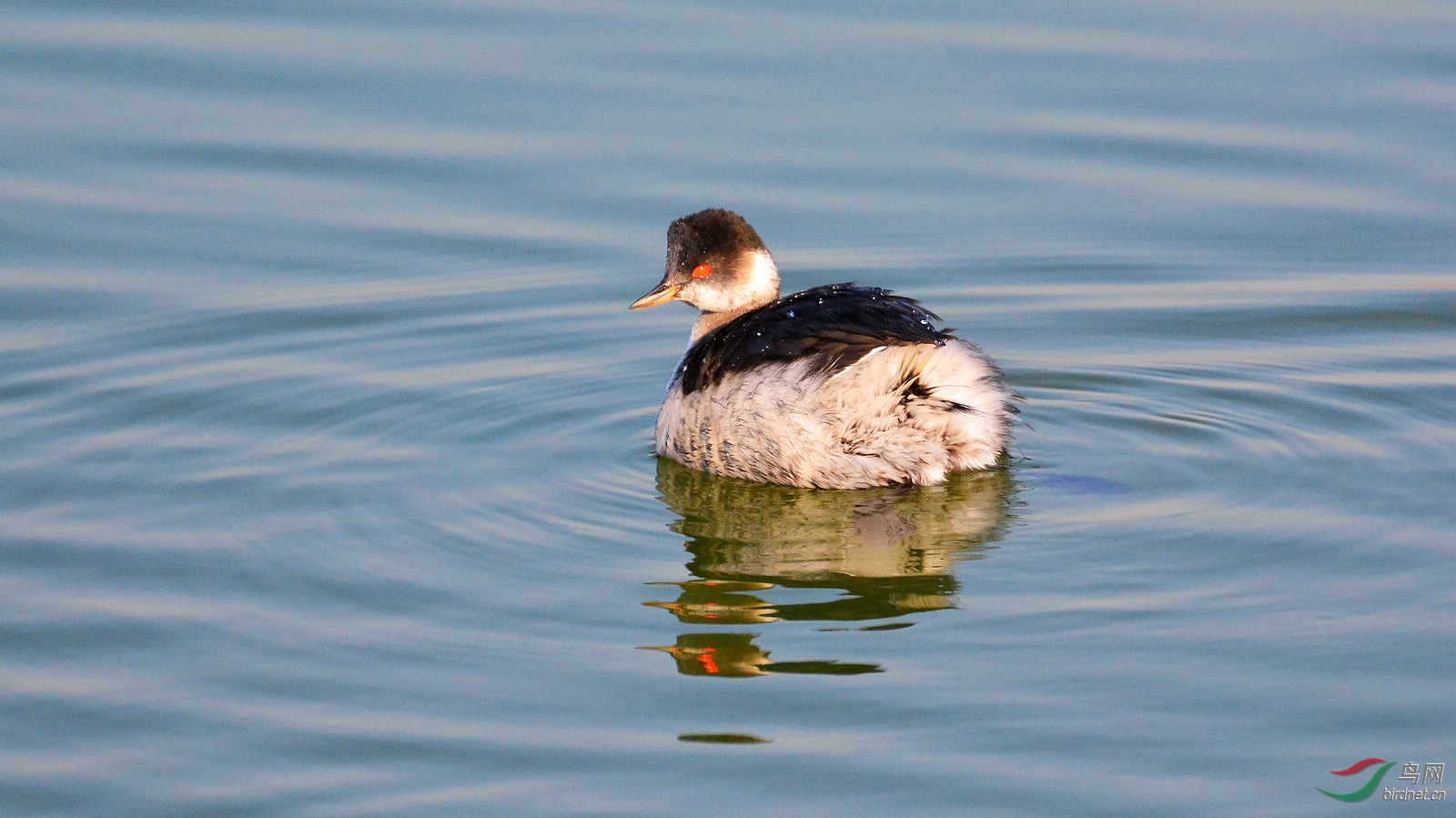 DSC_6426.JPG