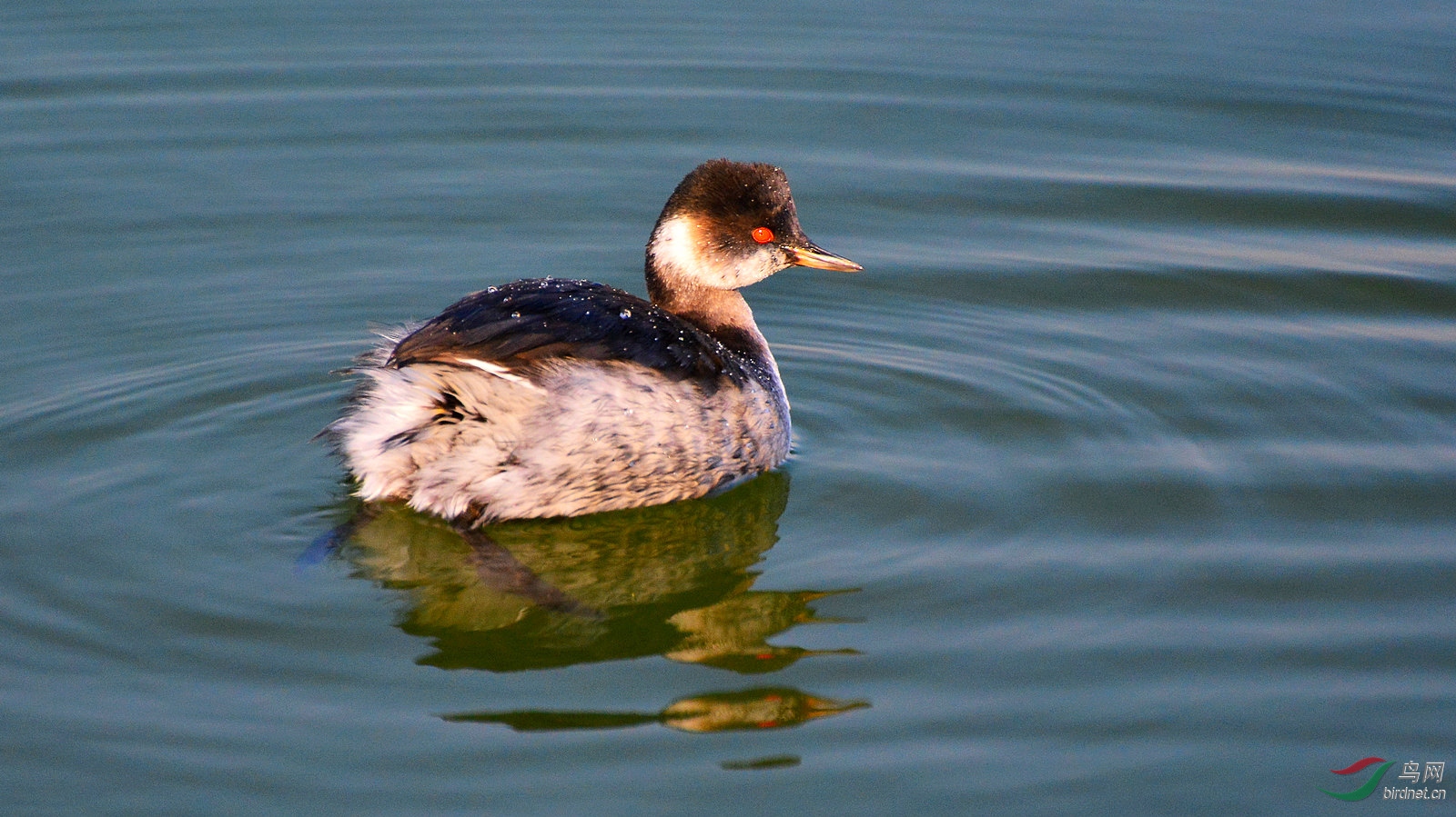 DSC_6309.JPG