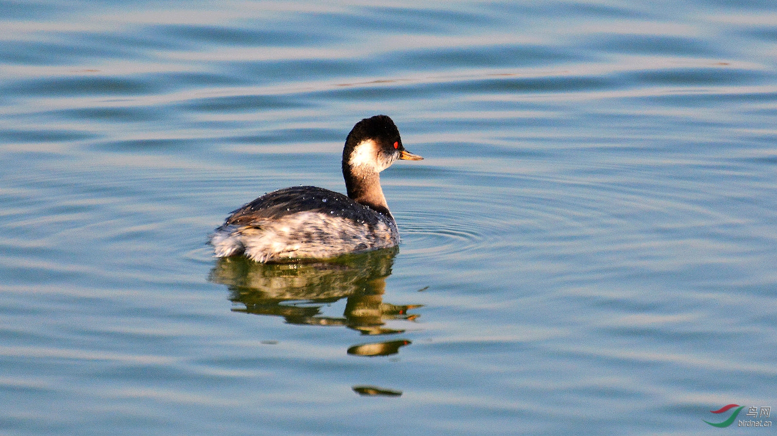 DSC_6292.JPG