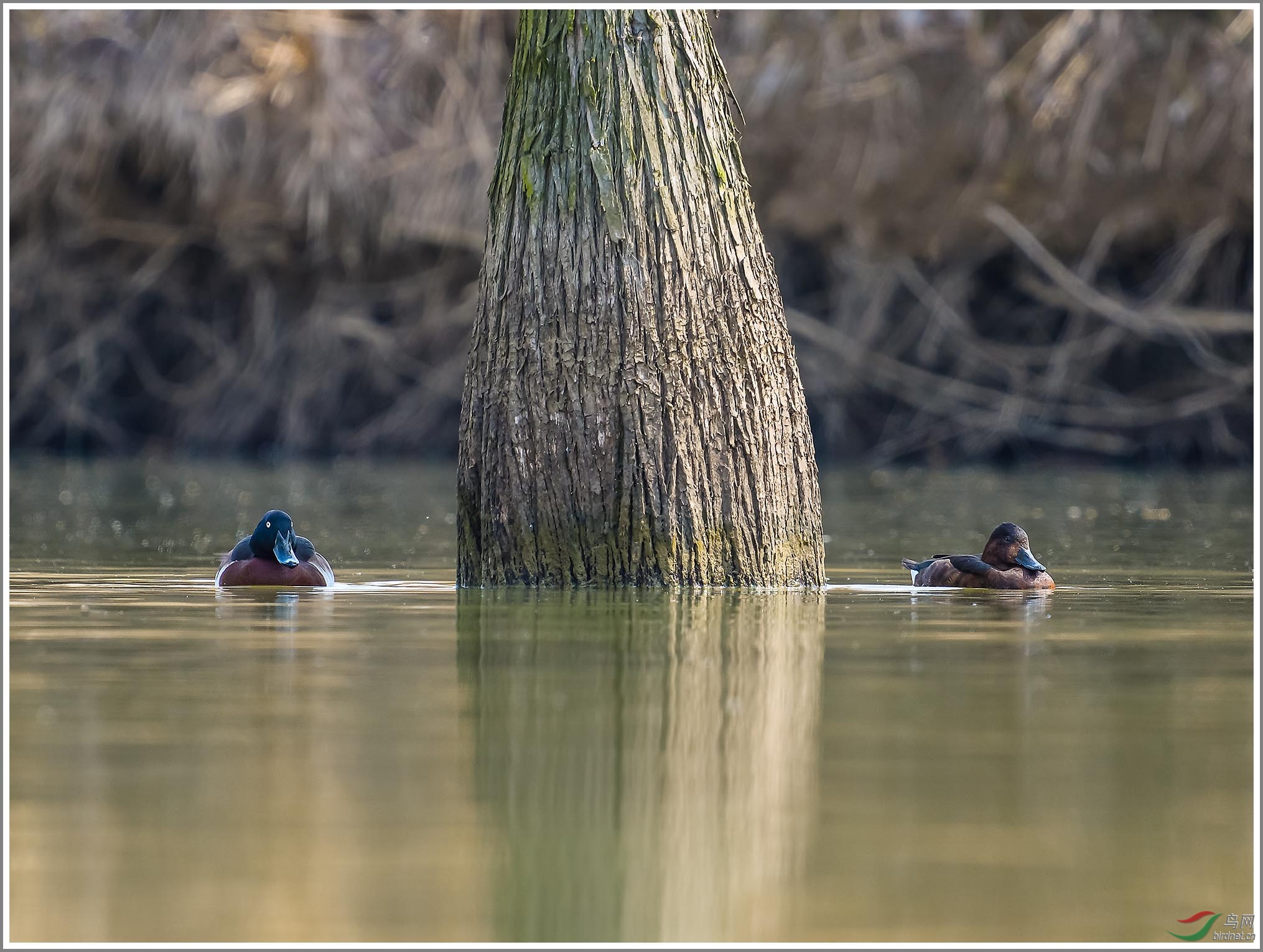 ��_XUX0422��Ϊ���ܶ���-1 2000.jpg