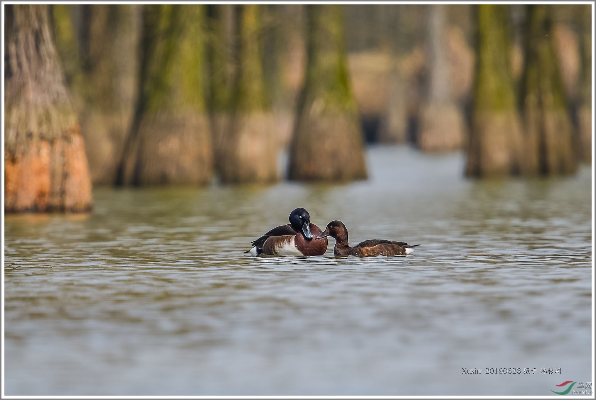 ��_XUX0742��Ϊ���ܶ���-1 2000.jpg