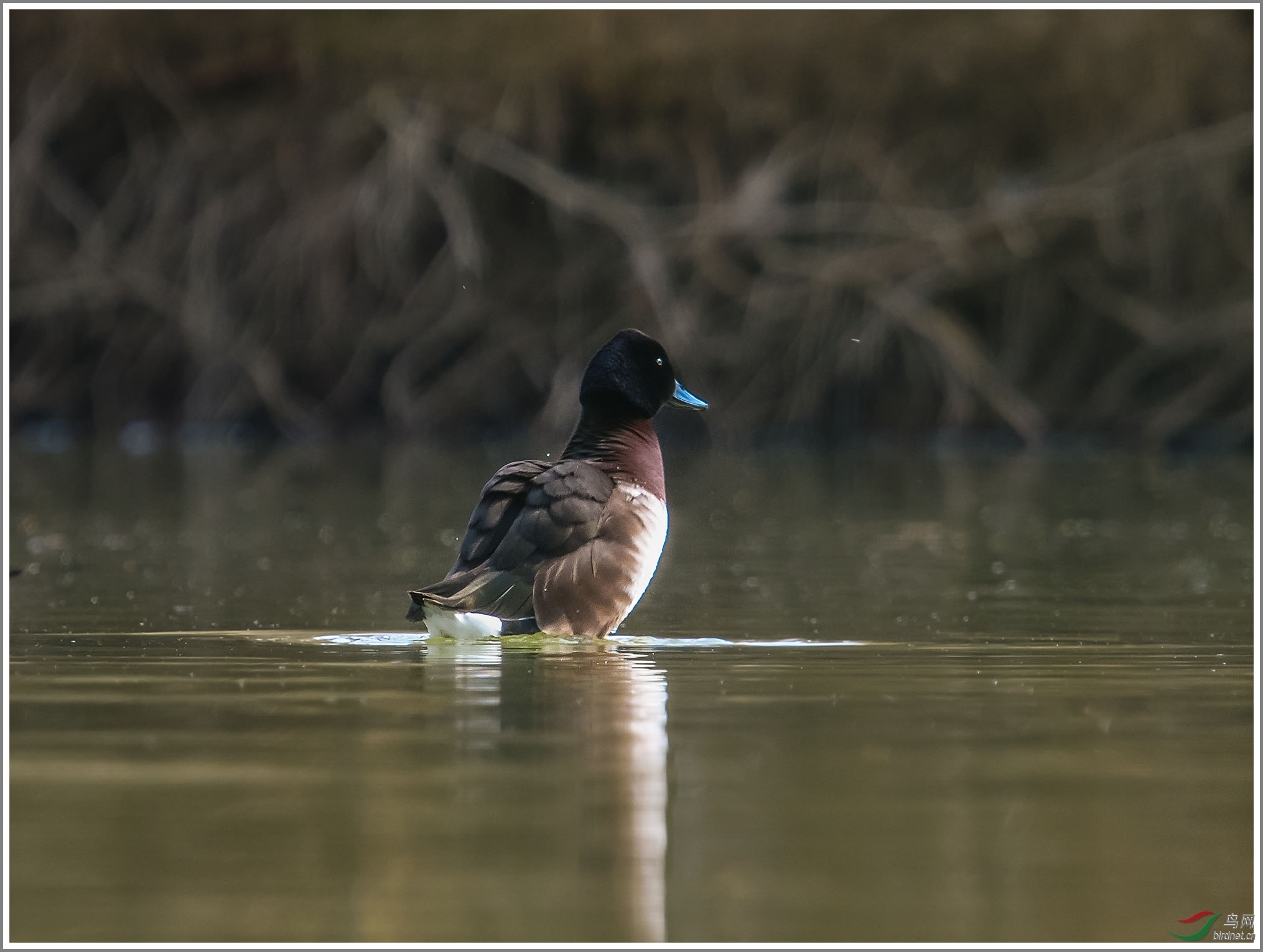 ��_XUX0433��Ϊ���ܶ���-1 2000.jpg