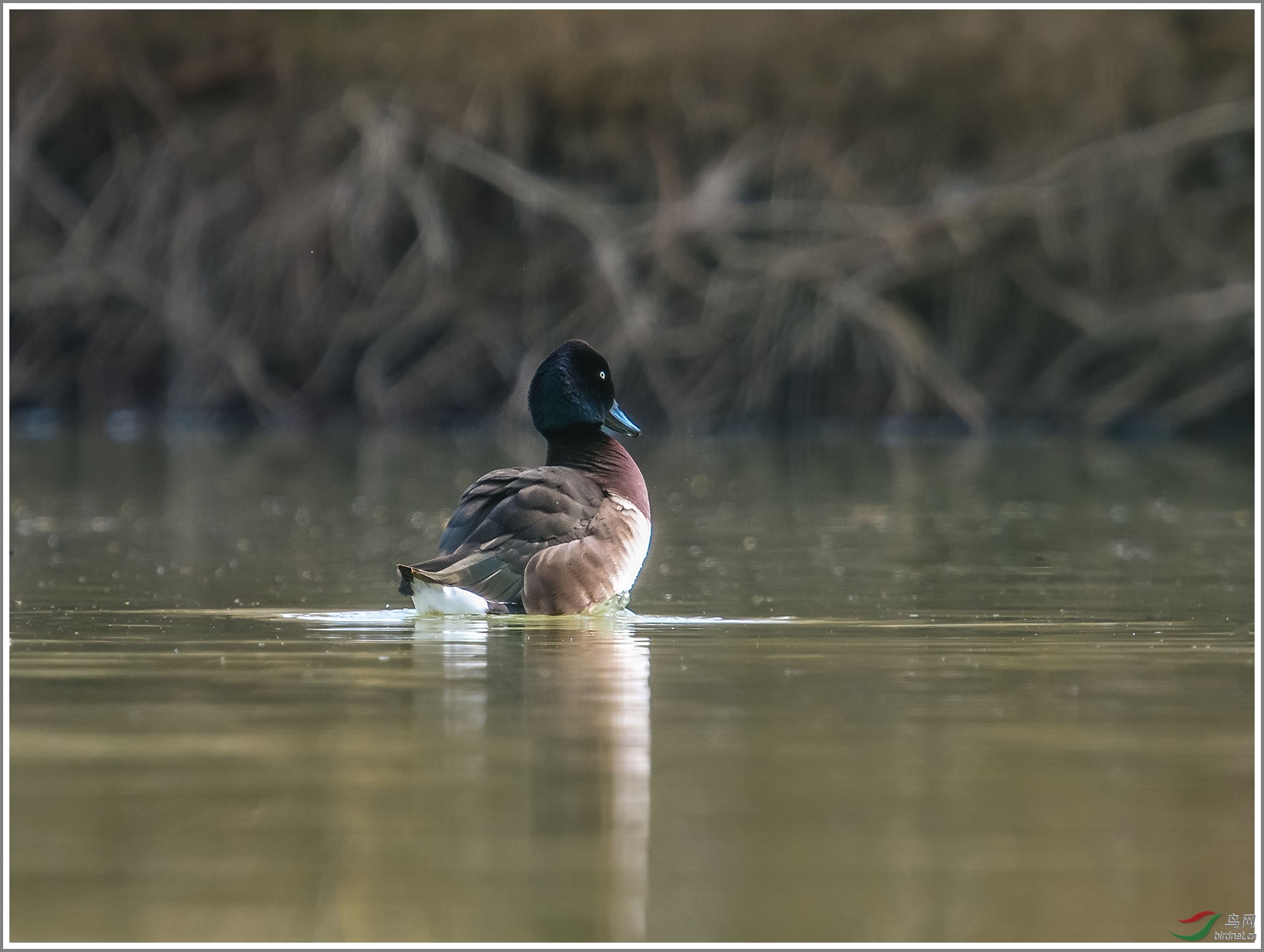 ��_XUX0434��Ϊ���ܶ���-1 2000.jpg