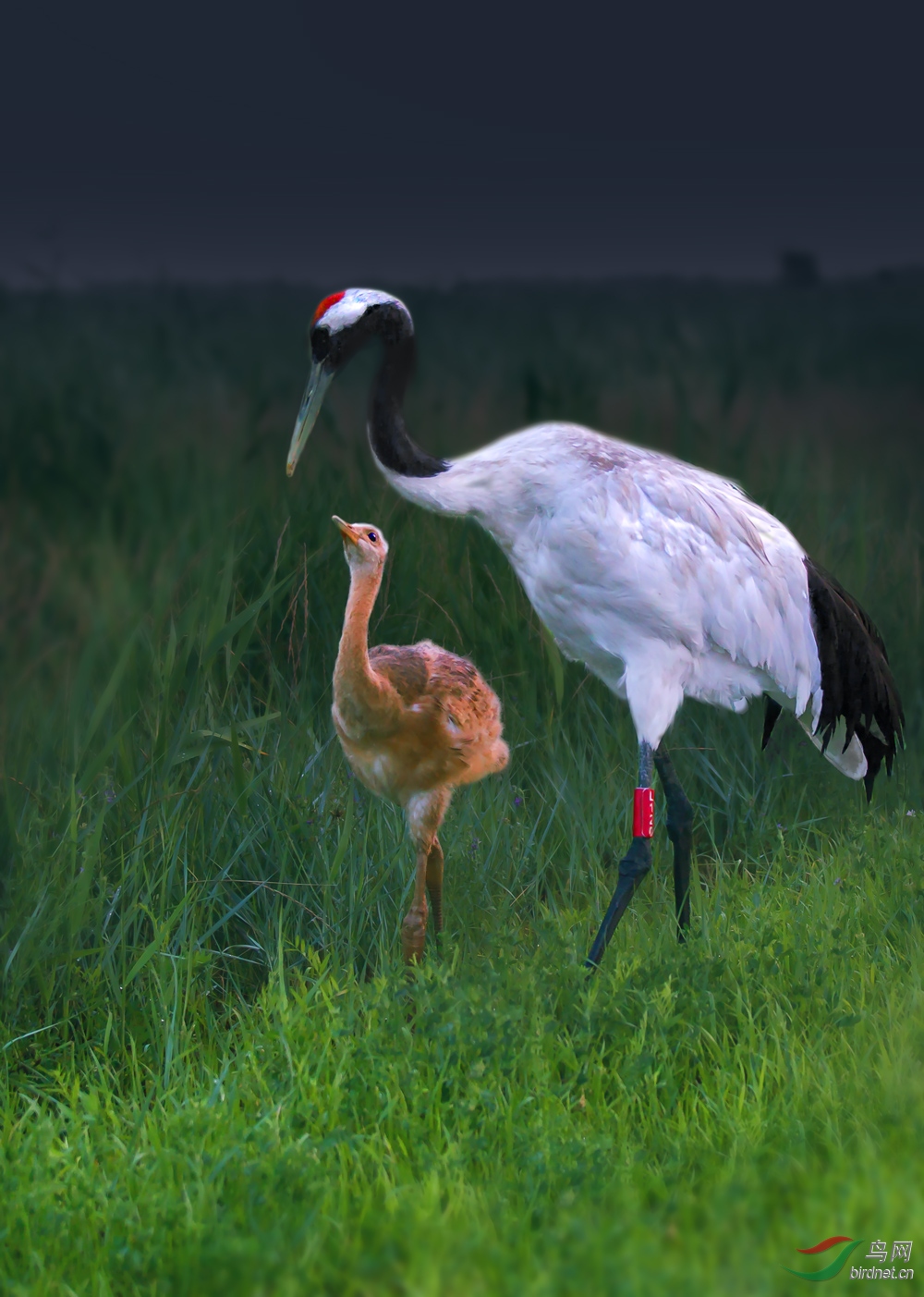 δ����-7363A.jpg