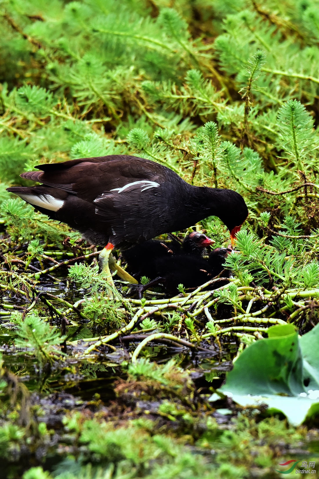 DSC_0553.JPG