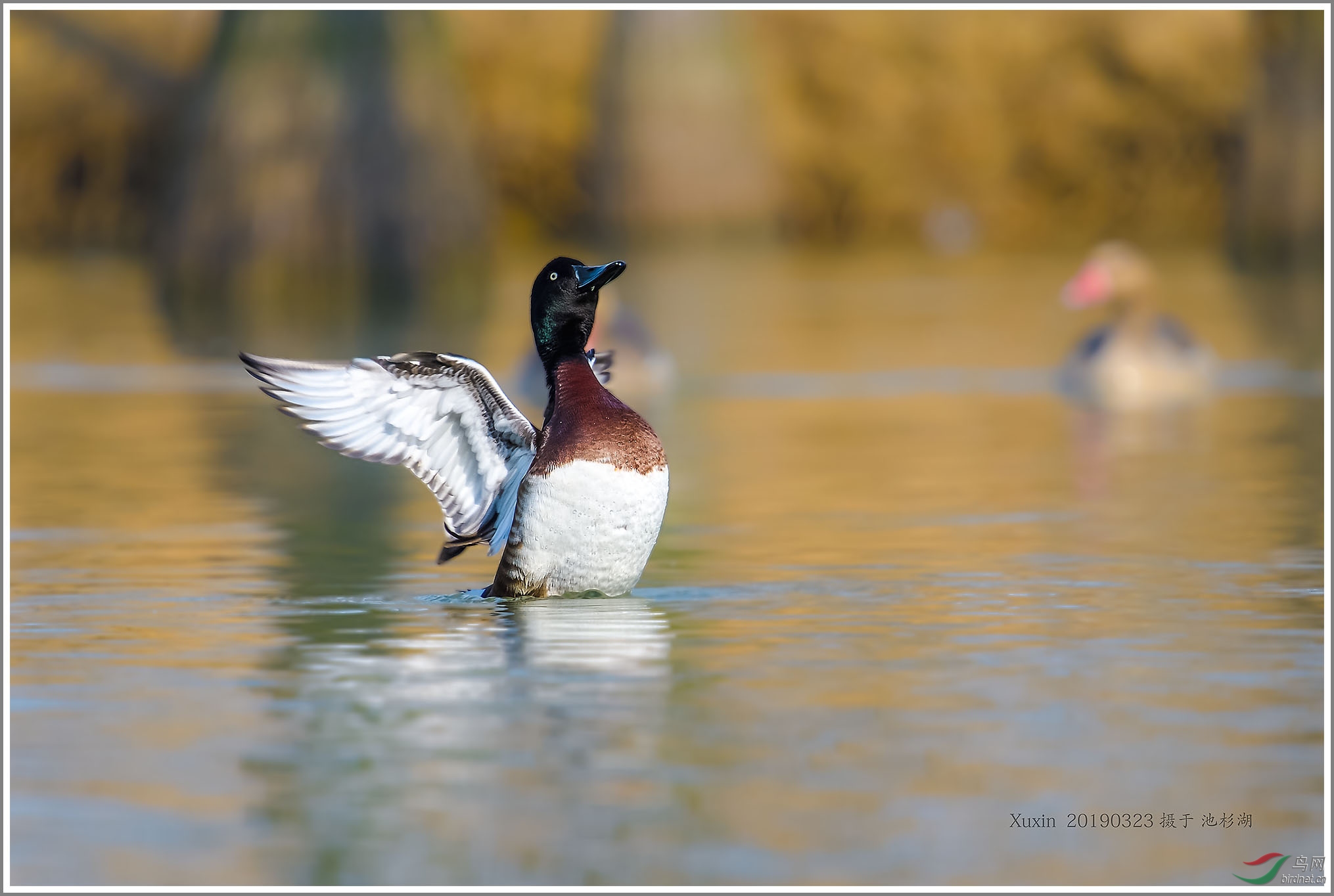 ��_XUX0172��Ϊ���ܶ���-1 2000.jpg