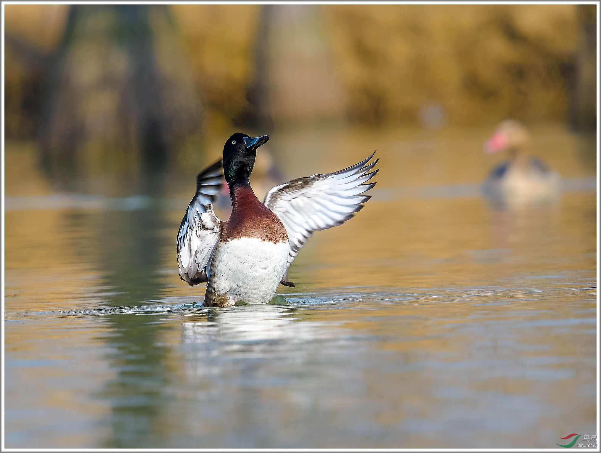 ��_XUX0174��Ϊ���ܶ���-1 2000.jpg