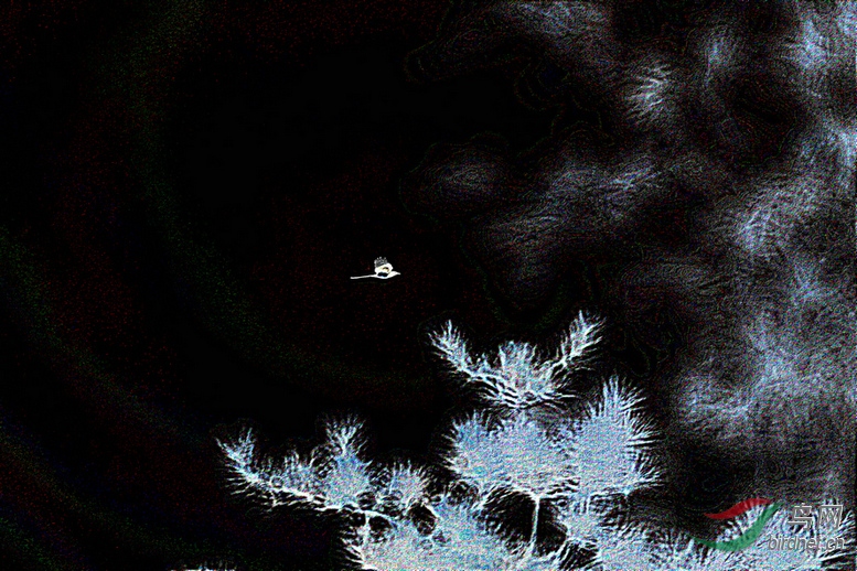 8J6A0947_����_����.JPG