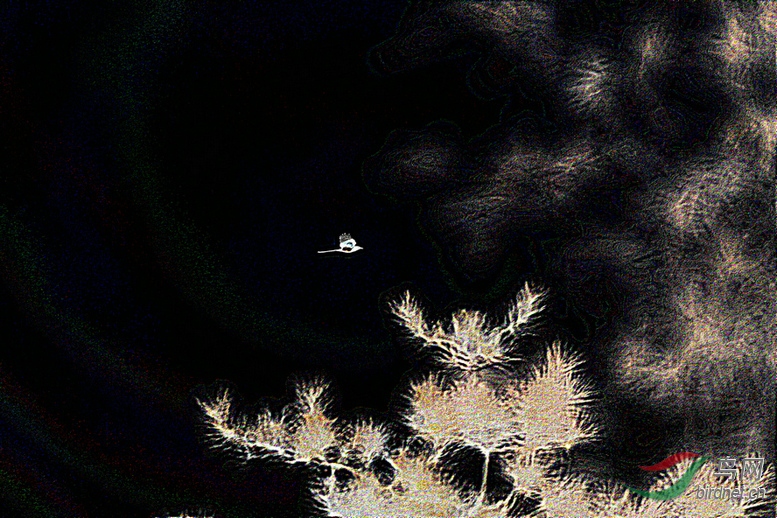 8J6A0947_����_����1_����.JPG