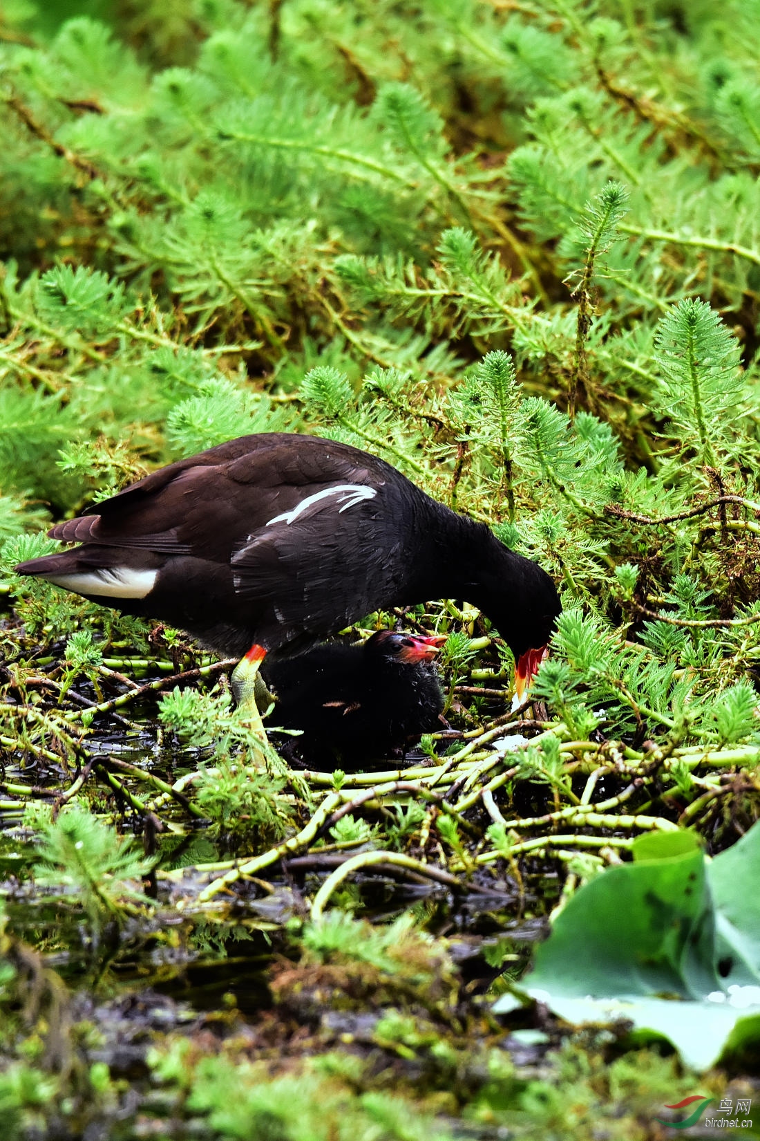 DSC_0555.JPG