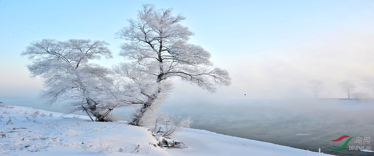 东北最美雪景照片图片